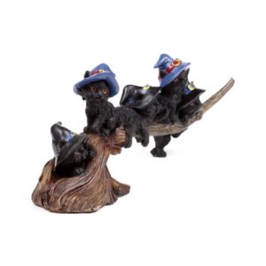 Heksen Zwarte Kat speelt op bezemsteel